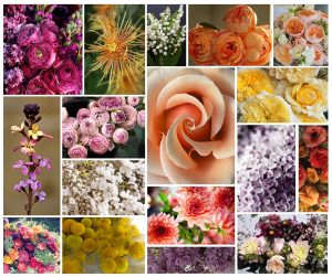 flower-collage